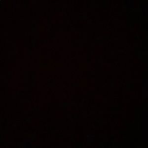 Meet your Posher, Ava